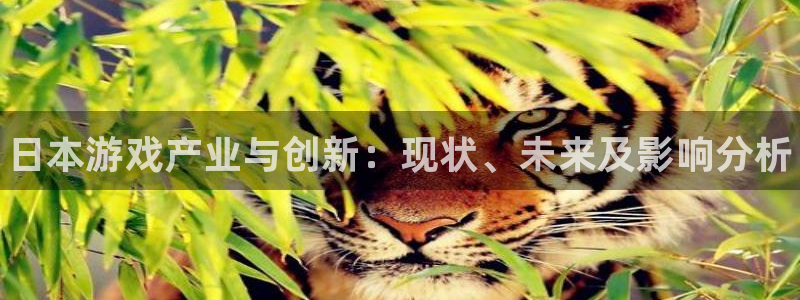 辉达娱乐注册登录：日本游戏产业与创新：现状、未来及影响分析