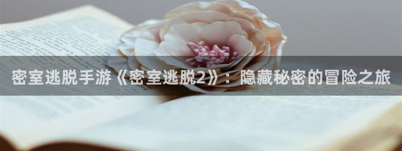 辉达娱乐2首页登录：密室逃脱手游《密室逃脱2》：隐藏秘密的冒