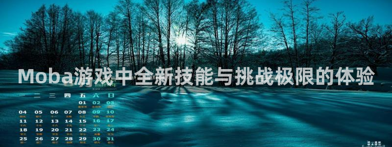 辉达娱乐平台官方网站：Moba游戏中全新技能与挑战极限的体验