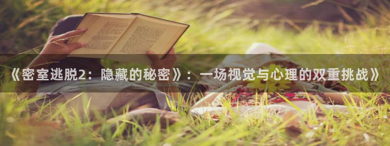 辉达娱乐平台官网入口：《密室逃脱2：隐藏的秘密》：一场视觉与