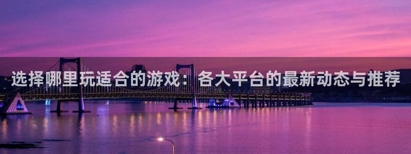 辉达娱乐注册：选择哪里玩适合的游戏：各大平台的最新动态与推荐