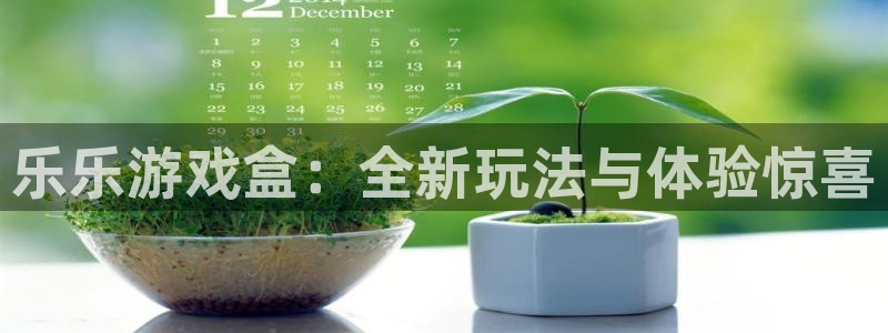 辉达娱乐官网登录：乐乐游戏盒：全新玩法与体验惊喜